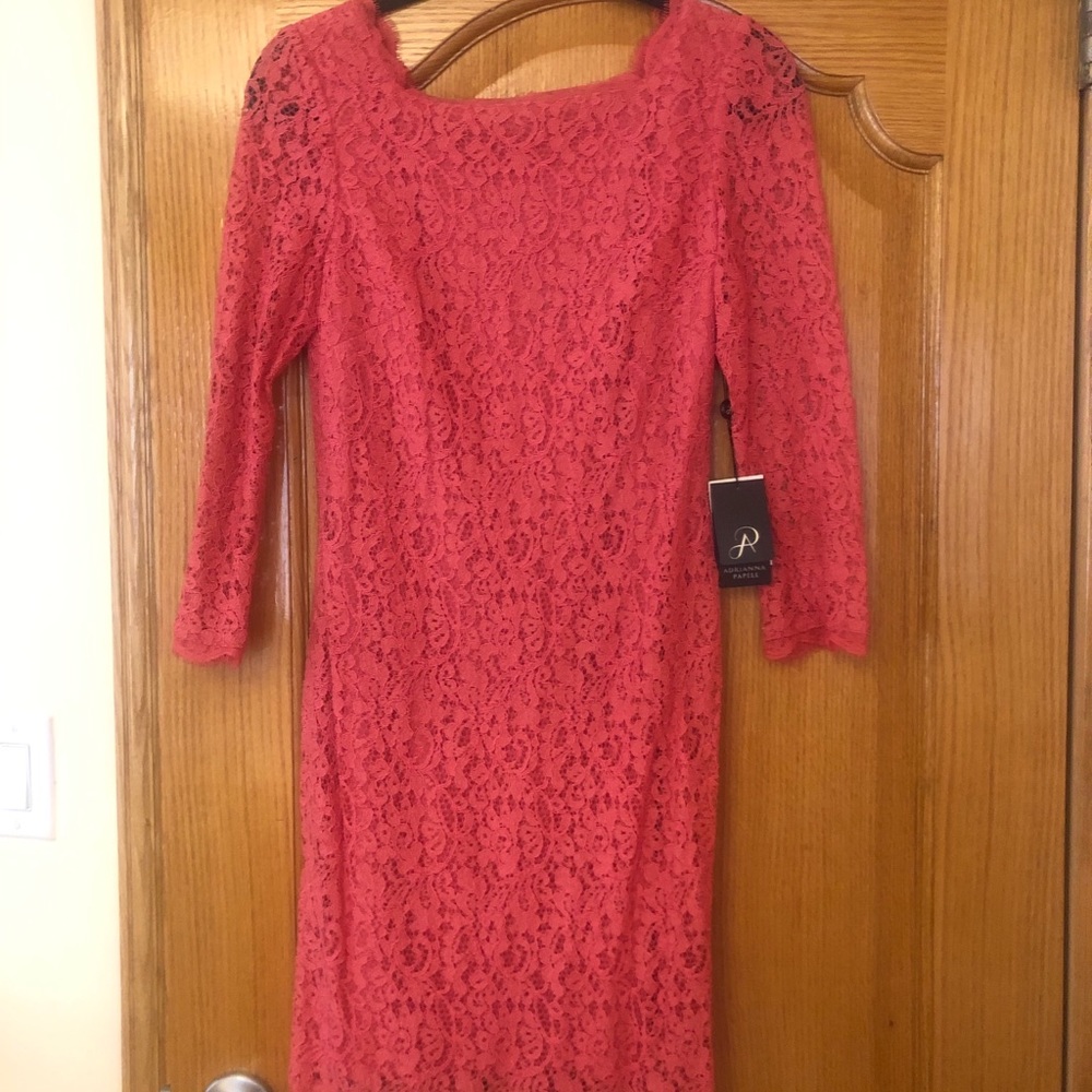 NWT dress size 6